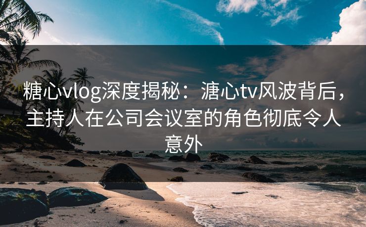 糖心vlog深度揭秘：溏心tv风波背后，主持人在公司会议室的角色彻底令人意外