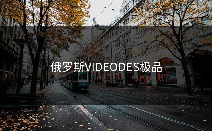 俄罗斯VIDEODES极品