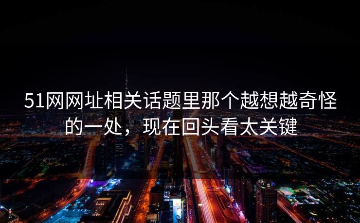 51网网址相关话题里那个越想越奇怪的一处，现在回头看太关键